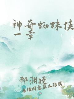 神奇蜘蛛侠第十一章