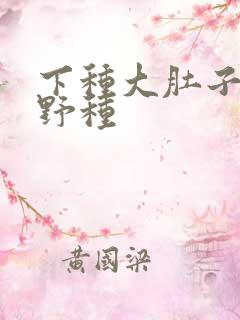 下种大肚子怀孕野种