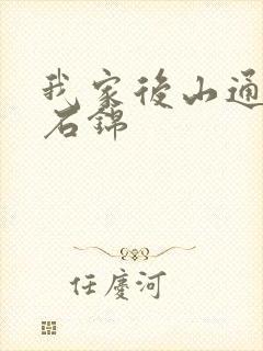 我家后山通仙界石锦