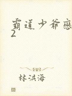 霸道少爷恋上我2