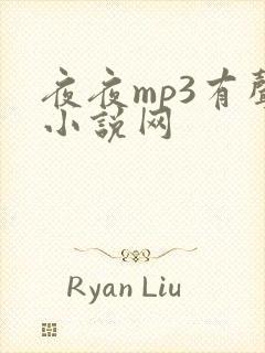 夜夜mp3有声小说网
