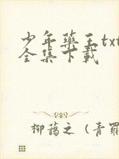 少年药王txt全集下载