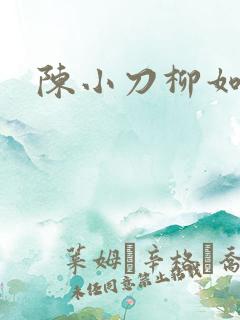 陈小刀柳如意