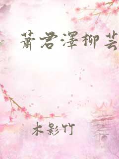 萧君泽柳芸小说