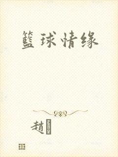 篮球情缘
