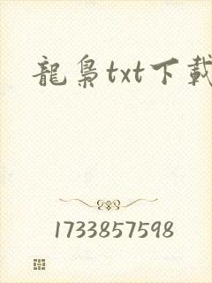 龙枭txt下载