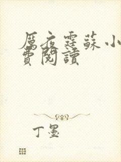 厉夜霆苏小汐免费阅读