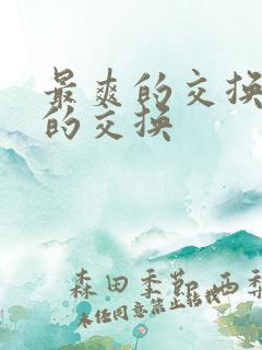 最爽的交换疯狂的交换