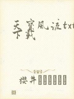 天宝风流txt下载