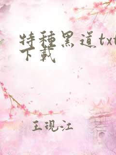 特种黑道txt下载