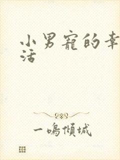 小男宠的幸福生活