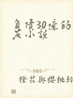 负债30亿的男友小说