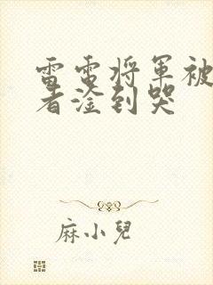 雷电将军被旅行者淦到哭