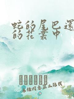 蛇的尾巴还在我的花丛中