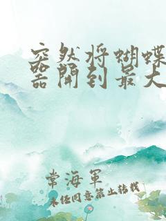 突然将蝴蝶遥控器开到最大