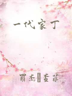 一代家丁