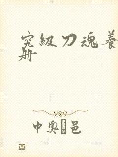 究级刀魂养成手册