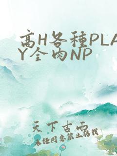 高H各种PLAY全肉NP