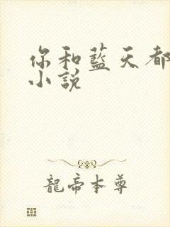 你和蓝天都重要小说