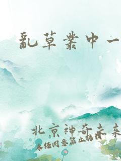 乱草丛中一杆枪