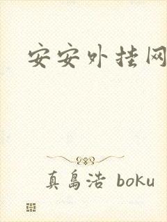 安安外挂网