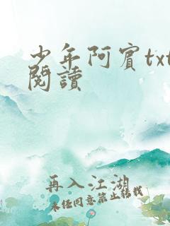 少年阿宾txt阅读