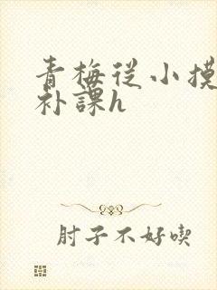 青梅从小摸到大补课h