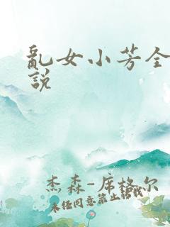 乱女小芳全集小说