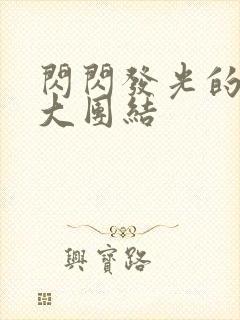 闪闪发光的小说大团结