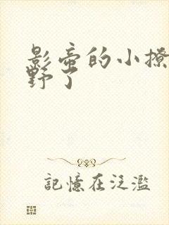 影帝的小撩精太野了