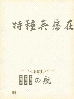 特种兵痞在都市