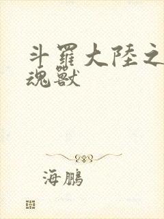 斗罗大陆之最强魂兽