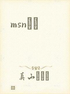 msnС˵