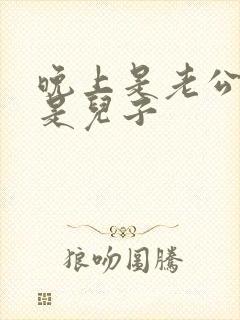 晚上是老公白天是儿子