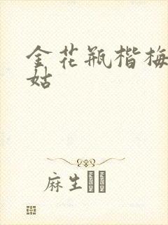 金花瓶楷梅花尼姑