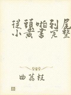 从头啪到尾全肉小黄书完整