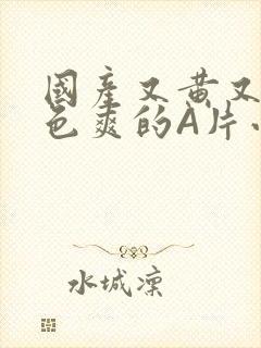 国产又黄又大又色爽的A片小说