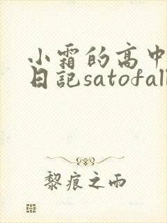 小霜的高中成长日记satofall