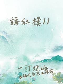 诱红楼11