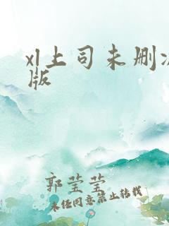 xl上司未删减版