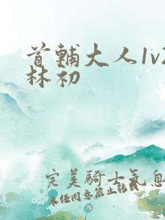 首辅大人1v2林初