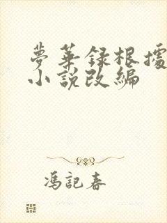 梦华录根据什么小说改编