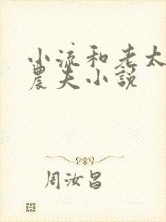 小流和老太69农夫小说