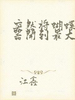 突然将蝴蝶遥控器开到最大