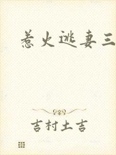 惹火逃妻三带一