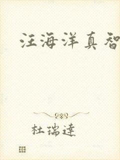 汪海洋真智师太