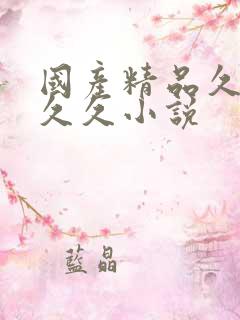 国产精品久久久久久小说