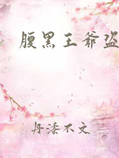 腹黑王爷盗墓妃