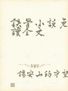 铁骨小说免费阅读全文