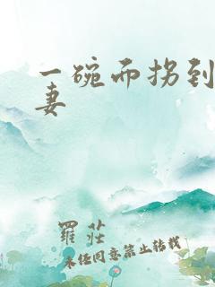 一碗面拐到美艳妻